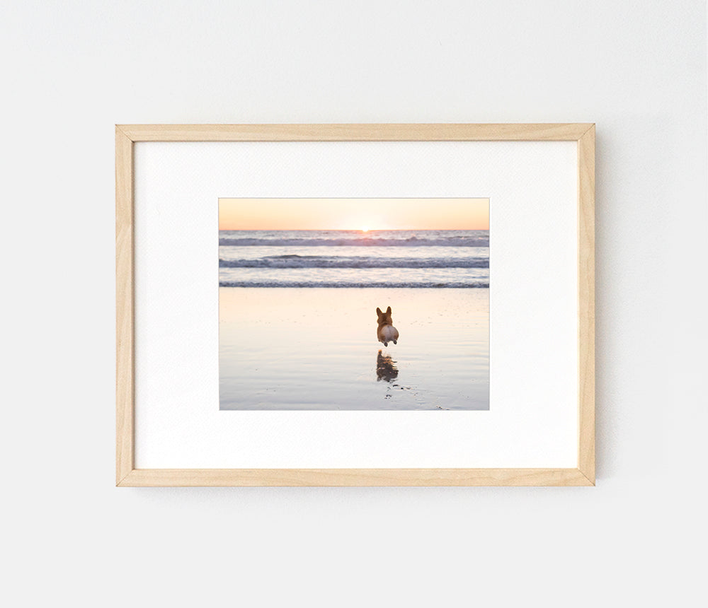 Photo print of corgi hop on sunset beach by LaCorgi.