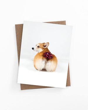 Birthday greeting card of a risque corgi butt with a present bow by LaCorgi.